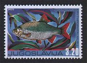 filatelija - crvenperka- 1976 godina fauna poštanska marka crvenperka